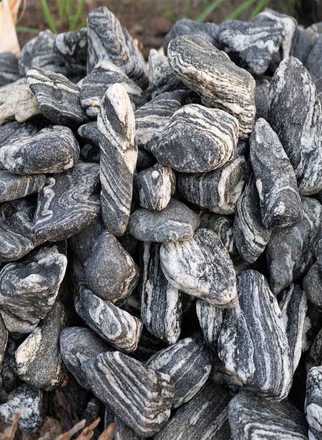أحجار حوض السمك الطبيعية من كينجروي، صخور أحواض السمك، 10 أرطال، صخور سيريو الفضية لتنسيق أحواض السمك، وأحواض الزواحف، ونباتات البونساي، وتنسيق الحدائق، وموائل الزواحف (2-7 بوصة، 5-6 قطع) - Image 4